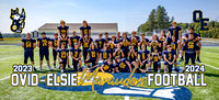 Team Banner