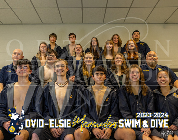 Swim and Dive