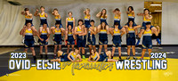 Team Banner