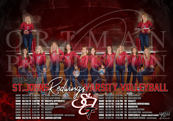Volleyball Team Poster