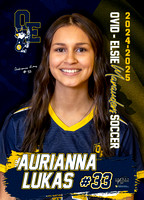 Senior Banners